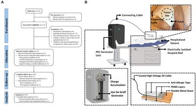A human pilot study on positive electrostatic charge effects in solid tumors of the late-stage metastatic patients